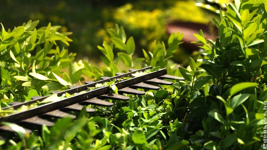Az akkus kerti gépek valódi alternatívát jelentenek az elektromos eszközökkel szemben?