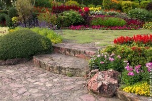 Hogyan válasszunk kerti szivattyút? A legfontosabb tudnivalók