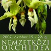 Októberben ismét orchidea- és broméliakiállítás