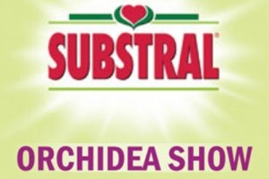 Substral Orchidea Show 2011