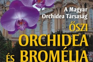 Orchidea és Bromélia Kiállítás és Vásár 2011