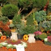Hétvégén Kertészeti Napok a Budai Arborétumban
