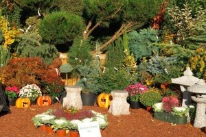Hétvégén Kertészeti Napok a Budai Arborétumban