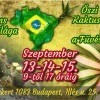 Brazília szukkulens növényvilága - őszi Országos Kaktuszkiállítás és Vásár