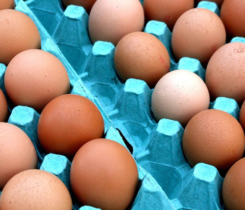 tojástartós tojás