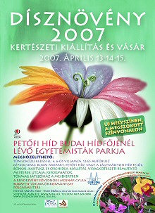 DÍSZNÖVÉNY: 2007-BEN 2 KIÁLLÍTÁS