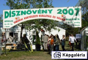 DÍSZNÖVÉNY 2007 ÚJBUDÁN