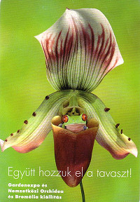 Együtt hozzák a tavaszt: orchidea- és kertészeti kiállítás