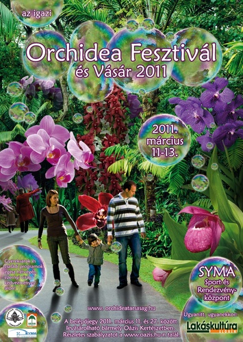 Orchidea-fesztivál-vásár