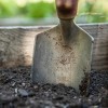 Tavasszal vagy ősszel komposztáljuk a talajt?