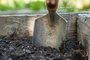 Tavasszal vagy ősszel komposztáljuk a talajt?
