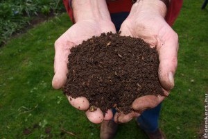 A nitrogén műtrágya helyettesíthető Humin Garden Plus talajkondicionálóval?