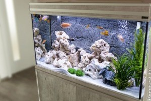 Feng Shui akváriumok