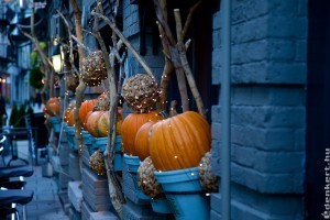 Hogyan készítsünk meseszép őszi dekorációt?