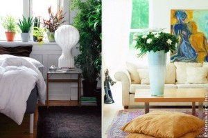 Ezeket a növényeket tedd a hálószobába, segítik a nyugodt alvást
