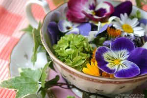 A virágzselé és a kandírozott virág készítésének titkai