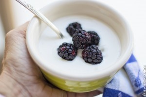 Joghurt kisokos: élőflórás, probiotikus, light és társaik