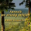 Bükki Nemzeti Park fél perc videón