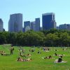 Világhírű parkok: A Central Park  10 legszebb virágos helye 2. rész