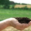 Az egészséges talaj kialakítása