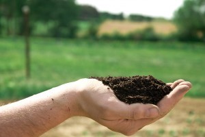 Az egészséges talaj kialakítása