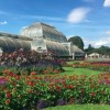 Először látogatható a londoni Kew Gardens titkos királyi kertje