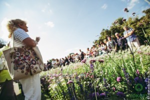 Virágpompa a Margitszigeten az egynyári növénybemutatón