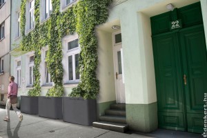 Ingyenes zöldhomlokzattal készül Bécs a nyári hőségre