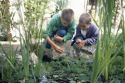Gyerekek és a kerti veszélyforrások