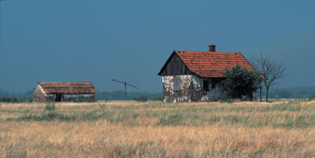 Hogyan fotózzunk a természetben?