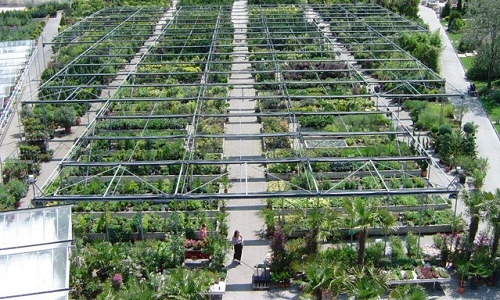 Körbejártunk egy óriási kertészetet - videókamerával