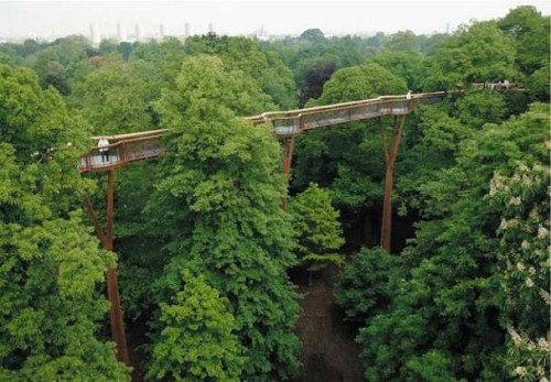 Lombkorona sétány nyílt a Kew Gardensben