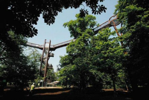 Lombkorona sétány nyílt a Kew Gardensben