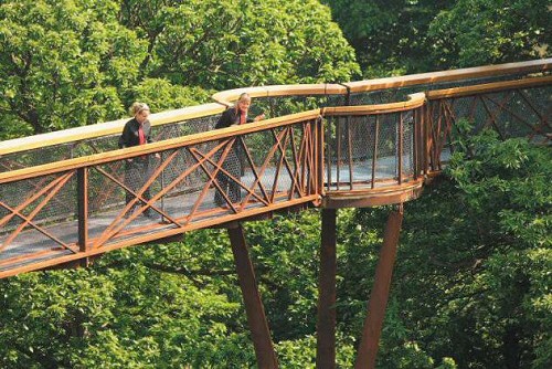 Lombkorona sétány nyílt a Kew Gardensben