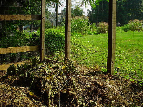 Komposzt - Fekete arany a kerti talajhoz