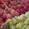 Piaci árak: 2007. augusztus 29. - Zuhan a csemegeszőlő ára