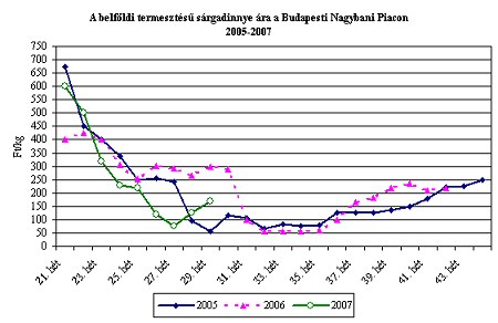 2007. JÚLIUS 19.