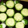Készítsünk vajas szardíniával töltött uborkát! - piaci árak