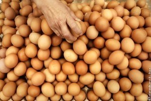 Kilós ár a tojásokra