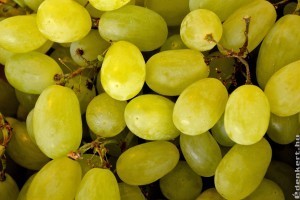 Édes most a csemegeszőlő