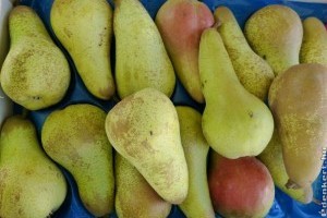 Zöldség-gyümölcs piaci árak 2020 január
