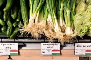 Átfogó zöldség-gyümölcs ellenőrzés a budapesti piacokon: hiányosságok a jelölésnél