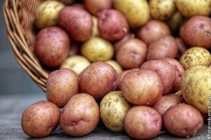 Mennyi a krumpli ára a piacon 2020-ban?