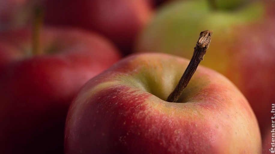 Horror áron az alma a piacokon 2022 elején