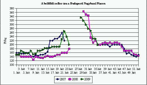 E heti ínyencségeink - Piaci körkép