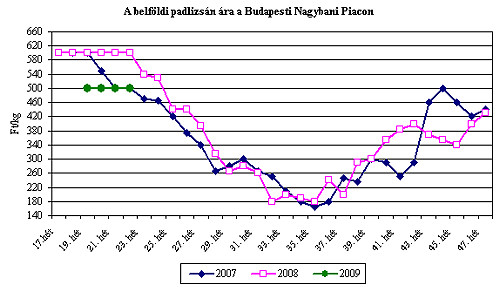 Meggy kilója: piacon 500, szedd magad 200