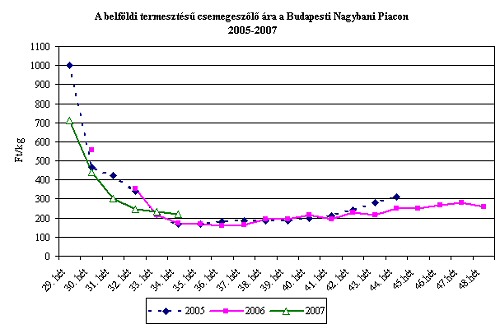 Piaci árak: 2007. augusztus 29. - Zuhan a csemegeszőlő ára