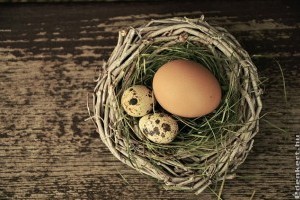 Fontos kérdések a tojásról