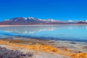 A tengeri madarak ürüléke tette termékennyé az Atacama-sivatagot több ezer éve