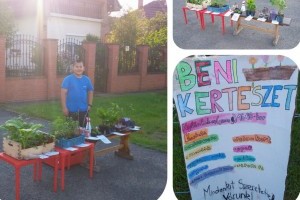 Ügyes kiskertész: saját növényeit árulja egy budapesti kisfiú